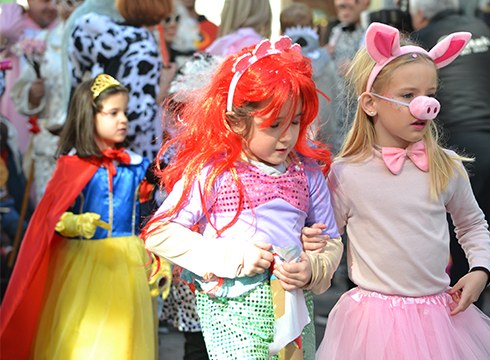 Aratosteetako argazkiak eta bideoak batu ditugu