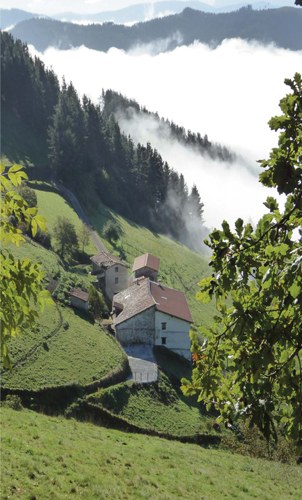 "Iturriaga baserria iraileko goiz batean, behe lainoarekin jokoan" (Periko Iriondo)