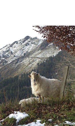 "Argazkian irtetzeko prest" (Periko Iriondo)