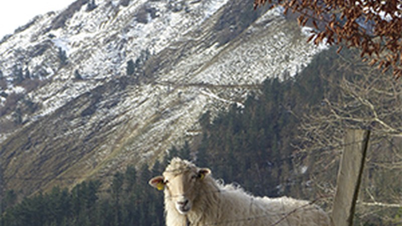 "Argazkian irtetzeko prest" (Periko Iriondo)