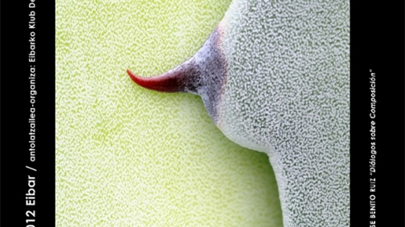 Argazkilaritza Maiatzean-en eskainiko den tailerrerako izen-ematea barixakuan zabalduko da