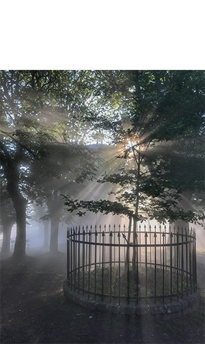 "Arrate, berezia beti. Eta batzuetan, gehiago" (Fernando Retolaza)