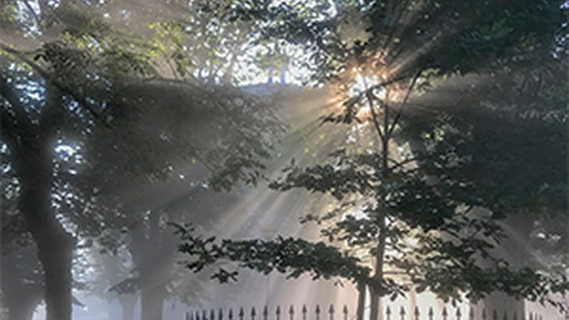 "Arrate, berezia beti. Eta batzuetan, gehiago" (Fernando Retolaza)