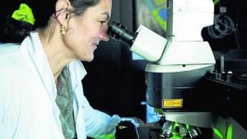 ARRATE MALLABIABARRENA: “Finantziazio ezagatik ikerketa zientifiko asko geldiarazi dira”