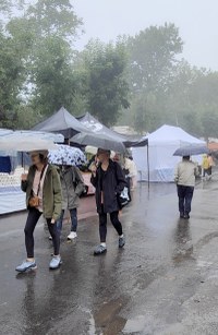 Arrateko Amaren eguna azken urteotako euritsuena izan da