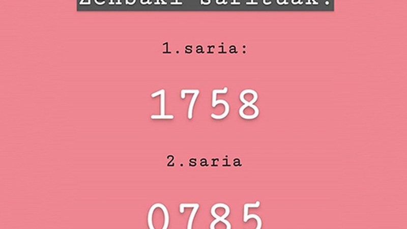 Arrateko jaietako rifen zozketan 1758 eta 0785 zenbakiak izan dira sarituak