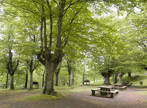 Arrateko jairik ez da ospatuko eta bihar bertara joateko sarbideak mugatuko dituzte