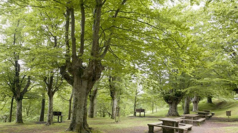 Arrateko jairik ez da ospatuko eta bihar bertara joateko sarbideak mugatuko dituzte
