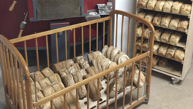 Artisau erako ogi ekologikoa-HoBBea proiektuaren inguruko jardunaldia egingo da abenduaren 14an Errebal Plazan