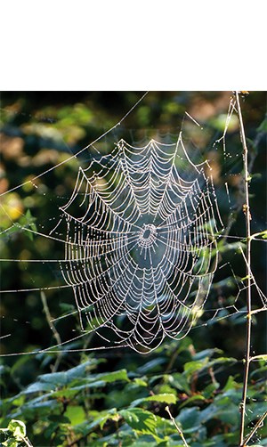 "Artisau-lan errepikakorra" (Periko Iriondo)