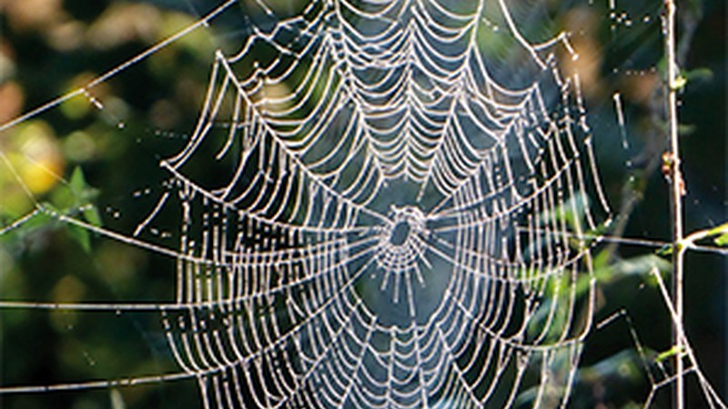 "Artisau-lan errepikakorra" (Periko Iriondo)