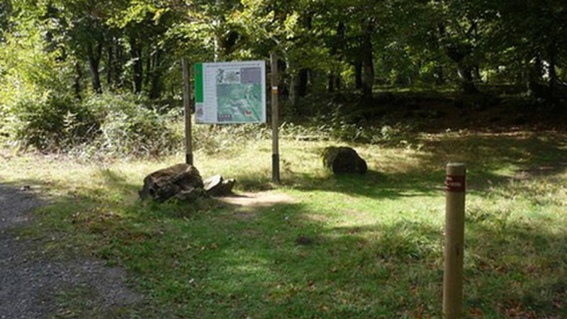 Artzaintza Naturbidearen 17. etapa osatuko dute zapatuan Klub Deportiboko mendi batzordekoek