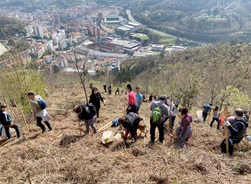 Aurtengo zuhaitz egunean 700 arbola landatu dira