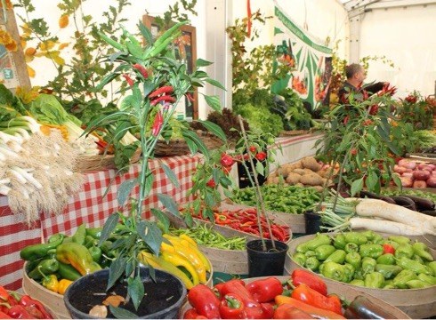 Azoka, herri kirolak eta erromeria San Andres ospatzeko
