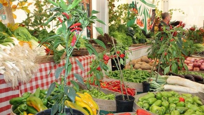 Azoka, herri kirolak eta erromeria San Andres ospatzeko