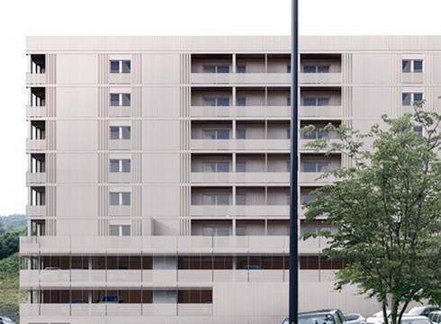 Babes ofizialeko 36 etxebizitza eraikiko dituzte Egazelain