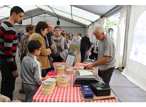 Badago gazta non dasta