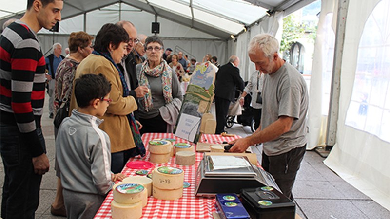 Badago gazta non dasta