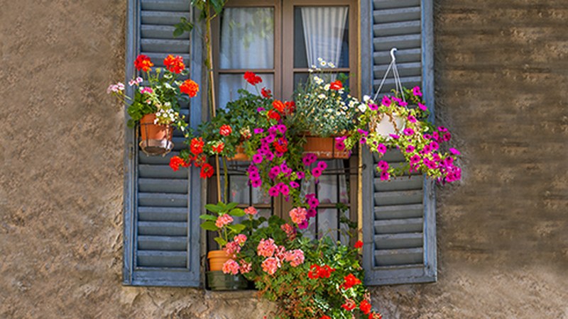 Balkoiak eta leihoak apaintzeko lehiaketa antolatu du Udalak