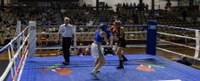 Barixakuan ospatu zen Amañako Tigrea Oroigarriaren 3. edizioa