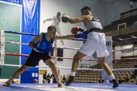 Barixakuan ospatu zen Amañako Tigrea Oroigarriaren 3. edizioa