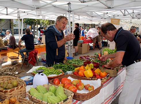 Baserrietara dohaineko bisita bi egingo dira Debabarreneko Aste Ekologikoan