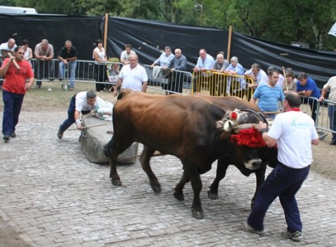 Baserritarrek euripean ospatuko dute San Isidro