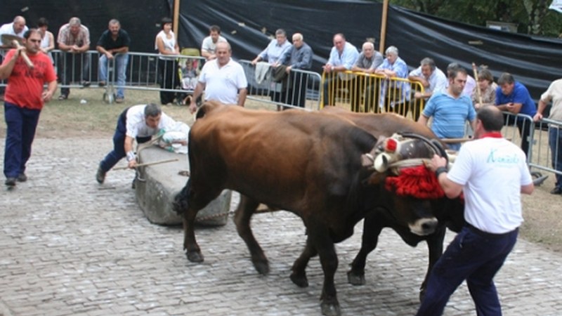 Baserritarrek euripean ospatuko dute San Isidro