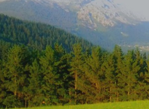 "Basoak, ikuspegiak uztartuz" mahaingurua egingo da zapatuan Markeskuan