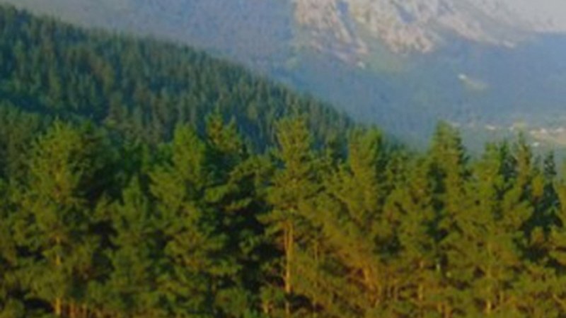 "Basoak, ikuspegiak uztartuz" mahaingurua egingo da zapatuan Markeskuan