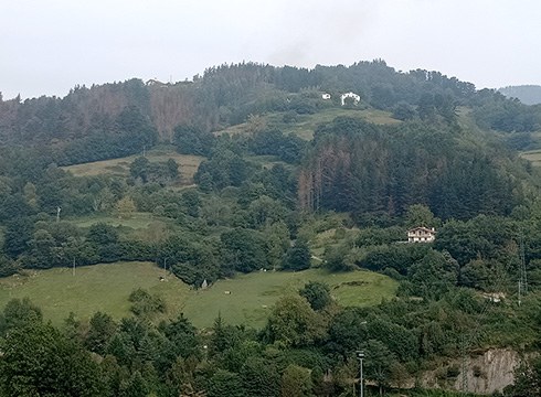 "Basoko berrikuntza esperientziak Kantauri eta Pirinioetako eremuetan" jardunaldia ostegunean Portalean