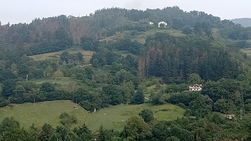 "Basoko berrikuntza esperientziak Kantauri eta Pirinioetako eremuetan" jardunaldia ostegunean Portalean