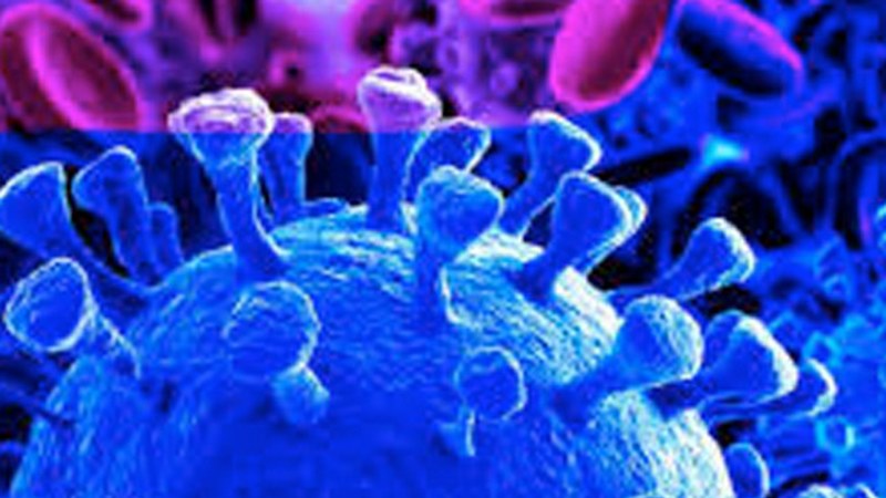 Bederatzi positibo gehiago atzeman dituzte Eibarren