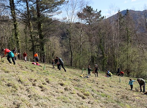 Bertako 500 zuhaitz landatuko dituzte Lindarin, Urko mendiaren magalean