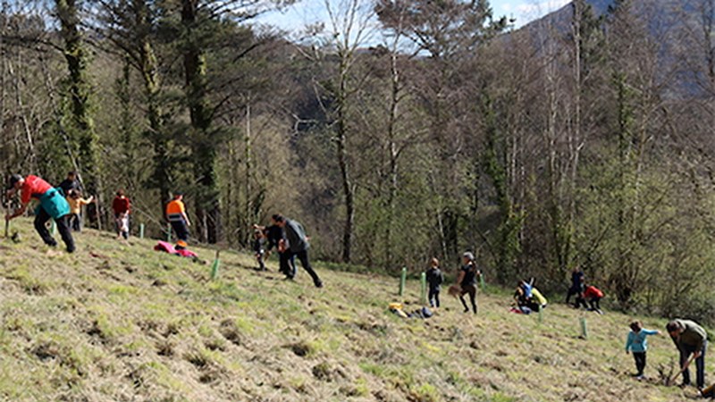Bertako 500 zuhaitz landatuko dituzte Lindarin, Urko mendiaren magalean