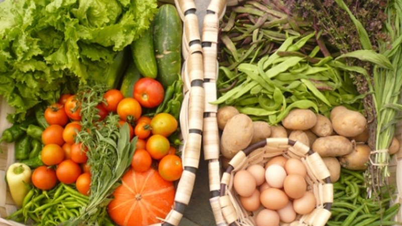 Bertako elikadura freskoari buruzko hitzaldia Portalean