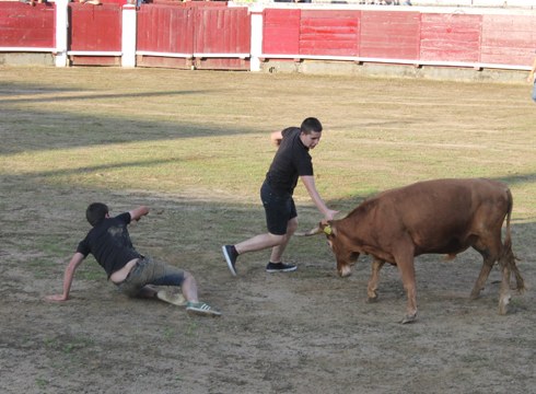 Bertan behara utzi dute Sanjuanetako zezen-jaialdia
