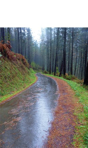 "Bideak ibai, hilabete guztia euripean" (Periko Iriondo)