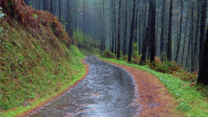 "Bideak ibai, hilabete guztia euripean" (Periko Iriondo)