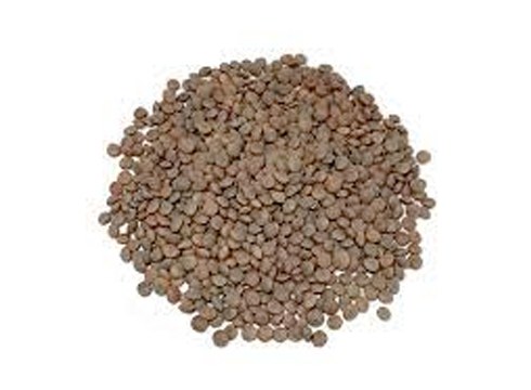 Bihar azken eguna Lesboserako pardina dilistak jasotzeko ...eta kitto!-n eta beste hainbat lekutan