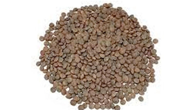 Bihar azken eguna Lesboserako pardina dilistak jasotzeko ...eta kitto!-n eta beste hainbat lekutan