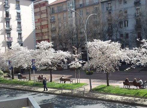 Bihar izango da VIII. Lore, Landare eta Zuhaitz azoka Urkizun