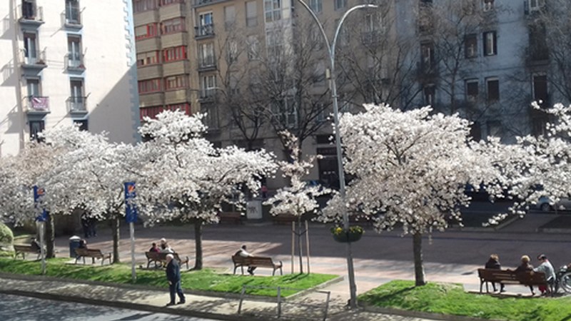 Bihar izango da VIII. Lore, Landare eta Zuhaitz azoka Urkizun