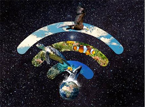 Bihar ospatuko den "Planetaren Ordua" ekimenarekin bat egingo du Udalak aurten ere