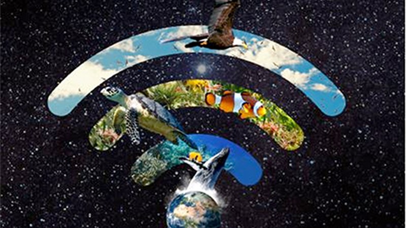 Bihar ospatuko den "Planetaren Ordua" ekimenarekin bat egingo du Udalak aurten ere