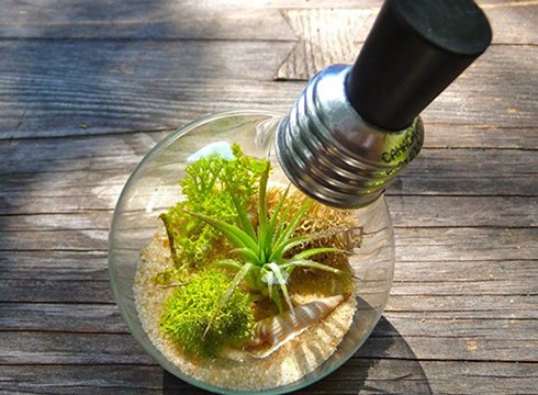 Bioenergiaren inguruko hitzaldiak eskainiko dituzte gaur ere Ingeniaritza Eskolan