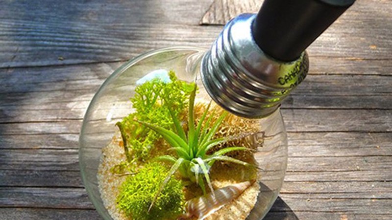 Bioenergiaren inguruko hitzaldiak eskainiko dituzte gaur ere Ingeniaritza Eskolan