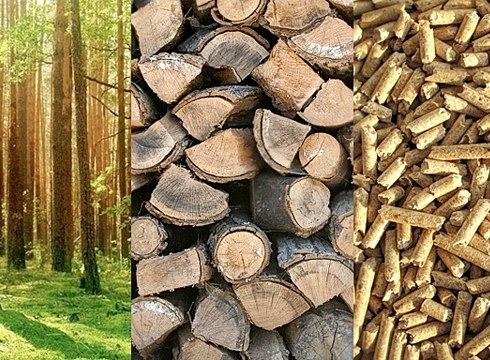 Bioenergiari buruzko jardunaldi irekiak izango dira gaur eta bihar Unibertsitate Laboralean