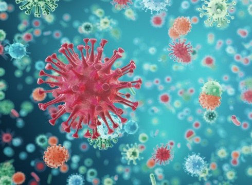 Birusen mutazioak nolakoak diren azaltzen ditu Ana Galarragak gauko atalean