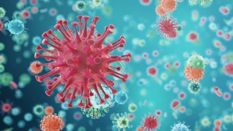 Birusen mutazioak nolakoak diren azaltzen ditu Ana Galarragak gauko atalean